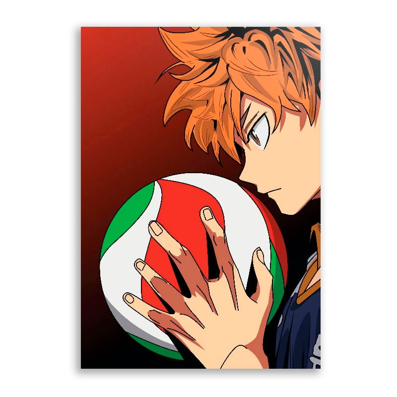 Quadro Hinata Haikyuu