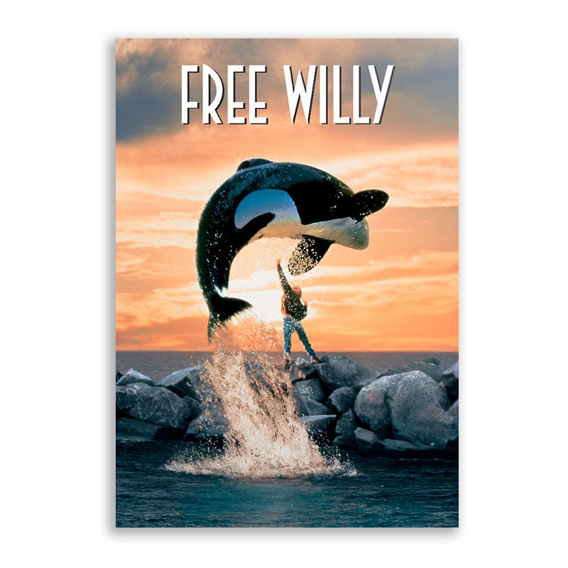 Quadro Free Willy
