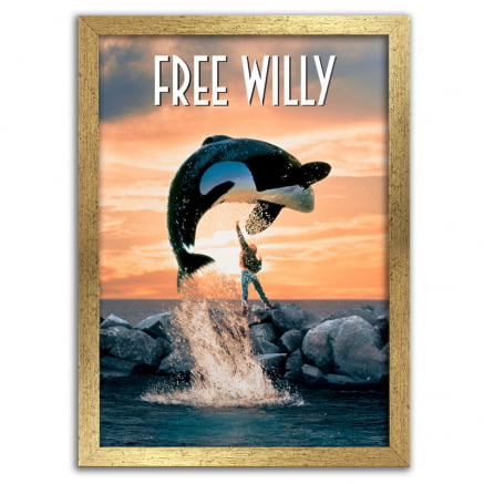 Quadro Free Willy
